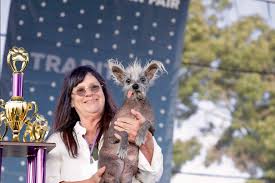 Image result for ugliest dog