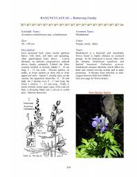 Attēlu rezultāti vaicājumam “Ranunculaceae”