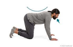 Image result for Kb Yoga