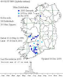 Attēlu rezultāti vaicājumam “Aphelia viburniana”