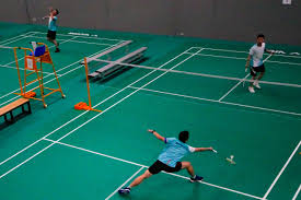 Image result for Lancing Badminton Club