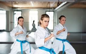 Image result for Bodyfit Martial Arts