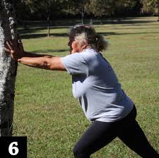 Image result for Keeping In Shape