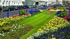 Image result for Eastbourne Edge