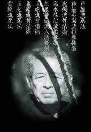 Image result for Bujinkan Dojo Seijitsu