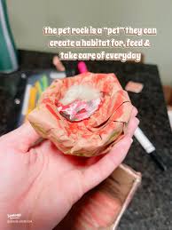 Image result for Easi-RockIts