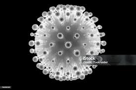 Image result for фотография вируса вич