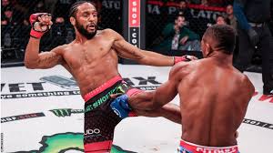 Image result for Aj Independent Martial Arts