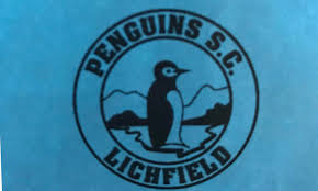 Image result for Grimsby Penguins Swimming Club