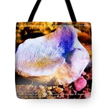 Image result for mountain top seashell