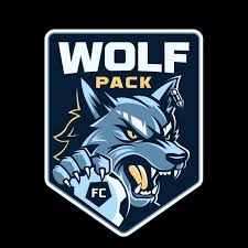 Image result for Woolpack Fc