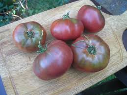 Afbeeldingsresultaat voor carbon tomato