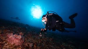 Image result for Deep and Wide Diving