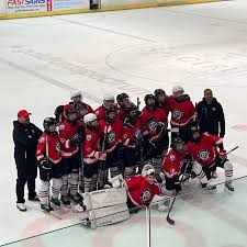 Image result for Basingstoke Bison Ice Hockey Club