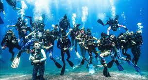 Image result for World Divers