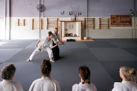 Image result for Newcastle Aikido Club