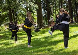 Image result for New Path Martial Arts Academy