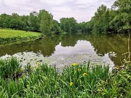 Image result for Colchester Indoor Bowls Club