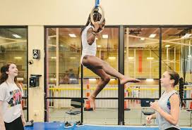 Image result for Aerodyne Gymnastics Club