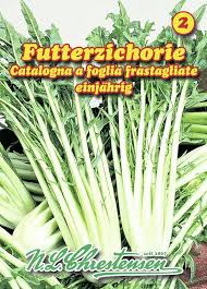 Image result for Zichorie