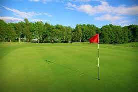 Image result for Romanby Golf Course
