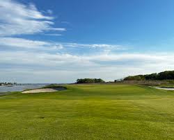 Image result for Rye Badminton Club