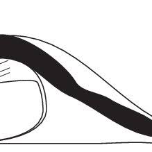 Attēlu rezultāti vaicājumam “Verrucaria hydrela”