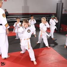 Image result for Vision Martial Arts