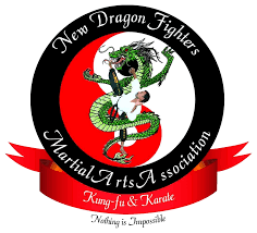 Image result for Dragon Martial Arts Association