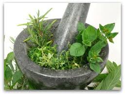 homeopathic remedies hypoglycemia