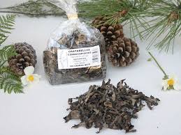 Attēlu rezultāti vaicājumam “Cratarellus cornucopioides”