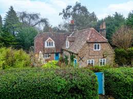 Image result for LITTLE GADDESDEN CRICKET CLUB