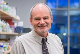 Image result for Matt Cutts sauer