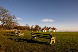 Image result for Hollingworth Cricket Club