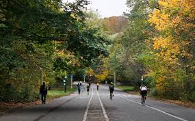 Image result for Prospect Park Beginner Jogging Sessions