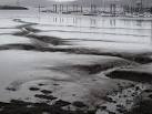 who slip, slide and stink - via Daymix