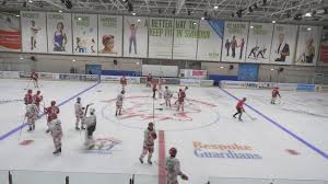 Image result for Swindon Panthers