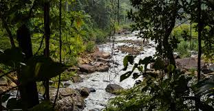 Image result for синхараджа