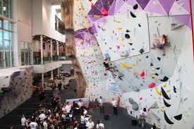 Image result for University of Warwick Skydiving Club