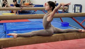 Image result for Maple Gymnastics Club