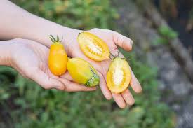 Afbeeldingsresultaat voor banana legs tomato