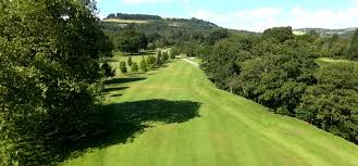 Image result for Newton Abbot Somersaults Gc