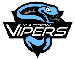 Image result for Vipers Roller Hockey Team
