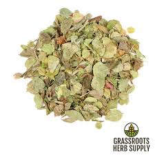 Attēlu rezultāti vaicājumam “Vaccinium myrtillus leaf”