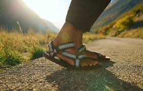 Image result for www.teva.es