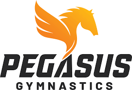 Image result for Pegasus Trampoline Club
