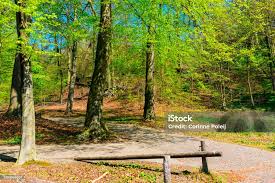 Image result for sonsbeek park