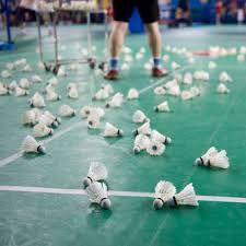 Image result for Montpelier Badminton Club