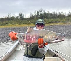 Image result for Oncorhynchus