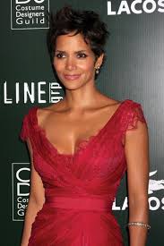 Afbeeldingsresultaat voor halle berry